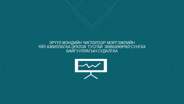 ЭРҮҮЛ МЭНДИЙН ЧИГЛЭЛЭЭР МЭРГЭЖЛИЙН ҮЙЛ АЖИЛЛАГАА ЭРХЛЭХ ТУСГАЙ  ЗӨВШӨӨРӨЛ СУНГАХ  БАЙГУУЛЛАГЫН СУДАЛГАА