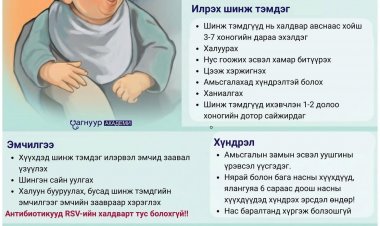 ЭМЧ ЗӨВЛӨЖ БАЙНА.