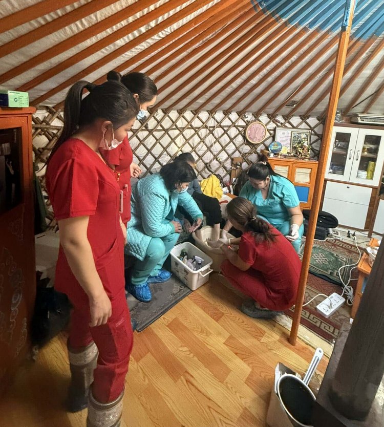 СУВИЛАГЧ СОЛИЛЦОО-2025